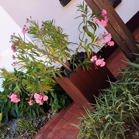 Apartament Erzsebet Vendeghaz Es *