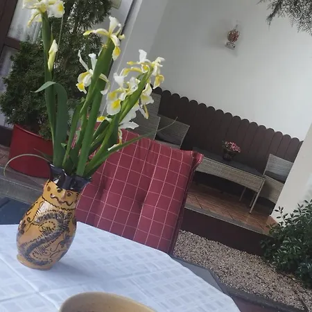 Erzsebet Vendeghaz Es Apartament Hajdúszoboszló
