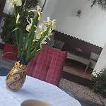 Erzsebet Vendeghaz Es Lägenhet Hajdúszoboszló