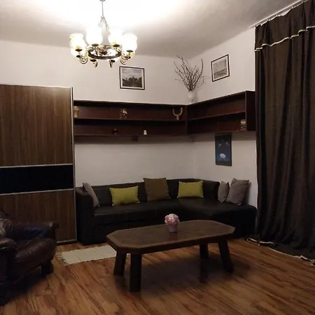 Erzsebet Vendeghaz Es Apartment *