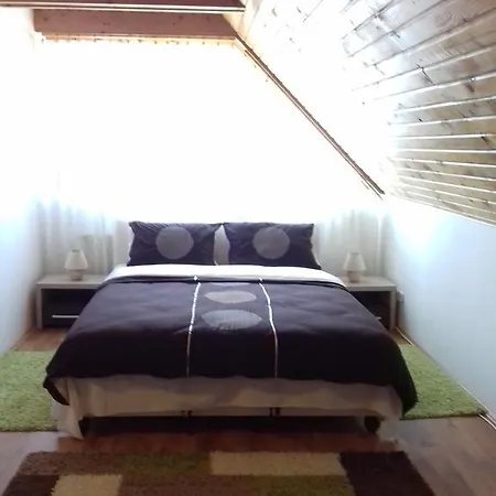 Erzsebet Vendeghaz Es Apartment Hajduszoboszlo