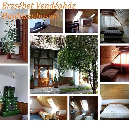 Erzsebet Vendeghaz Es *